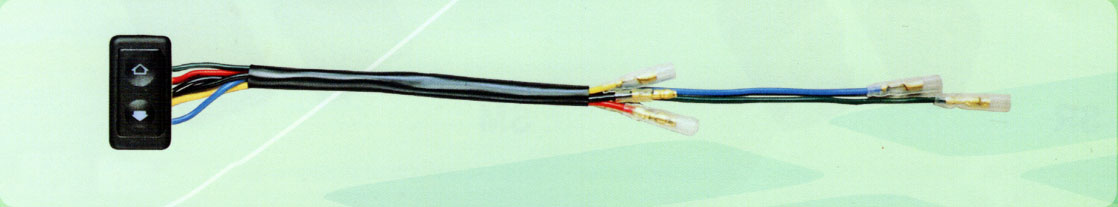 power window switch WB