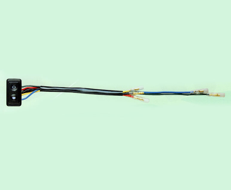 power window switches_WB