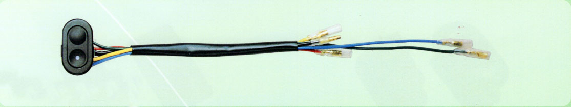 power window switch WP