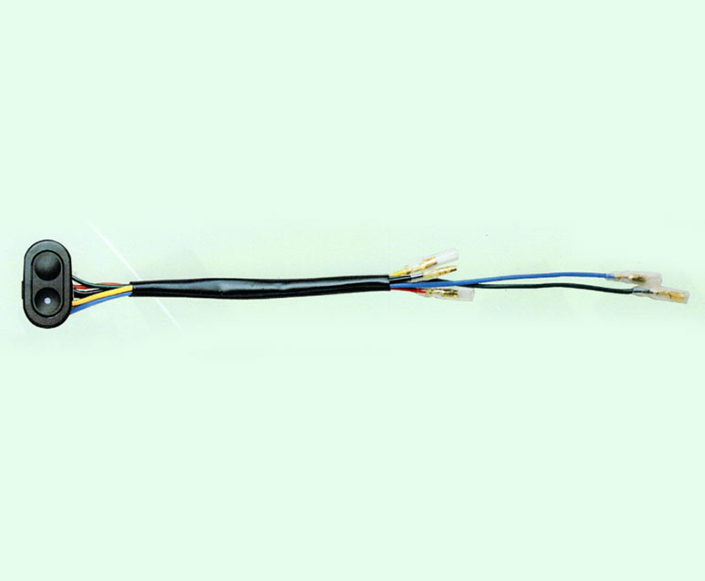 power window switches_WP